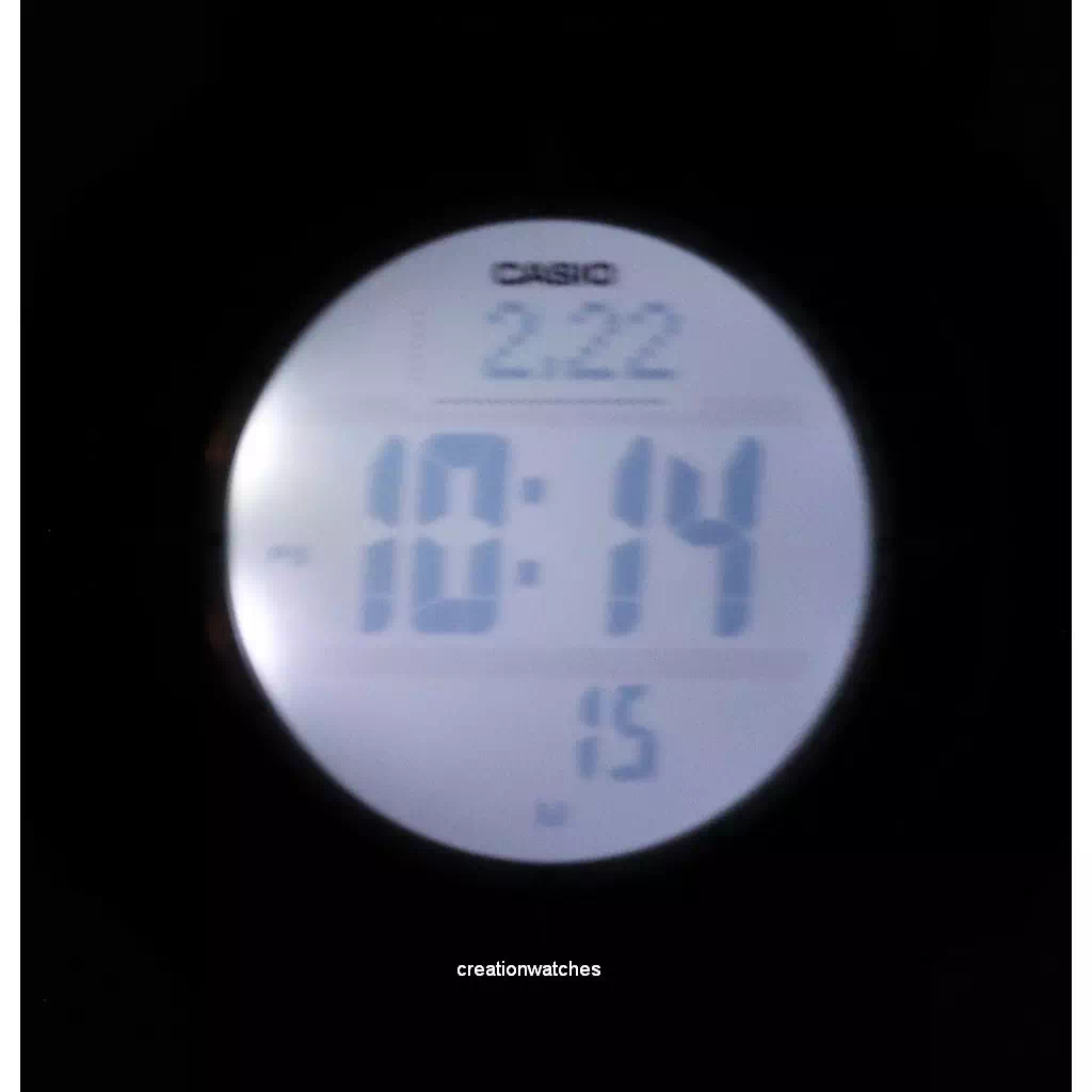Relógio Masculino Casio ProTrek Hora Mundial Digital Resistente PRG-30-5 PRG30-5 100M
