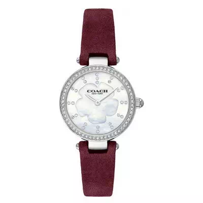 Relógio feminino Coach Park Crystal com detalhes em couro 14503102