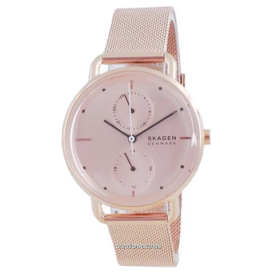 Skagen Horizont Stainless Steel Quartz SKW2931 Women's Watch