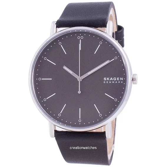 Skagen Signature SKW6528 Quartz Men's Watch