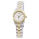 Tissot T-Classic PR 100 T101.010.22.111.00 T1010102211100 Quartz Women's Watch